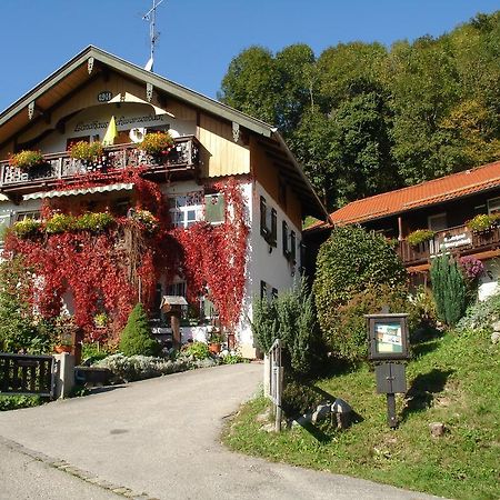 Pension Schwarzenbach Bad Reichenhall Dış mekan fotoğraf