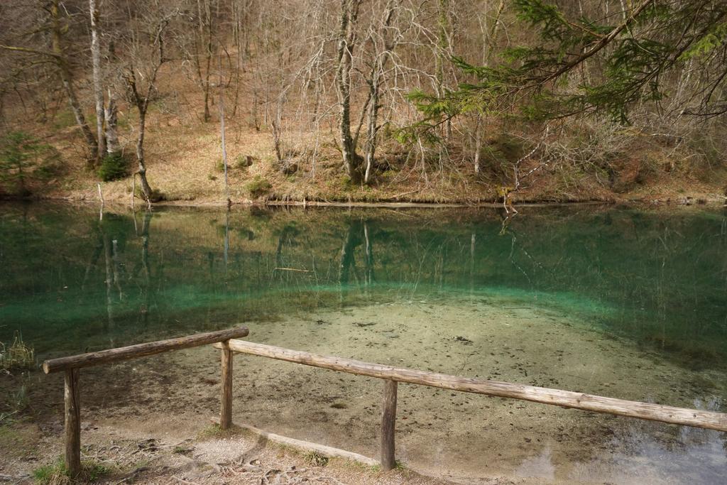 Pension Schwarzenbach Bad Reichenhall Dış mekan fotoğraf